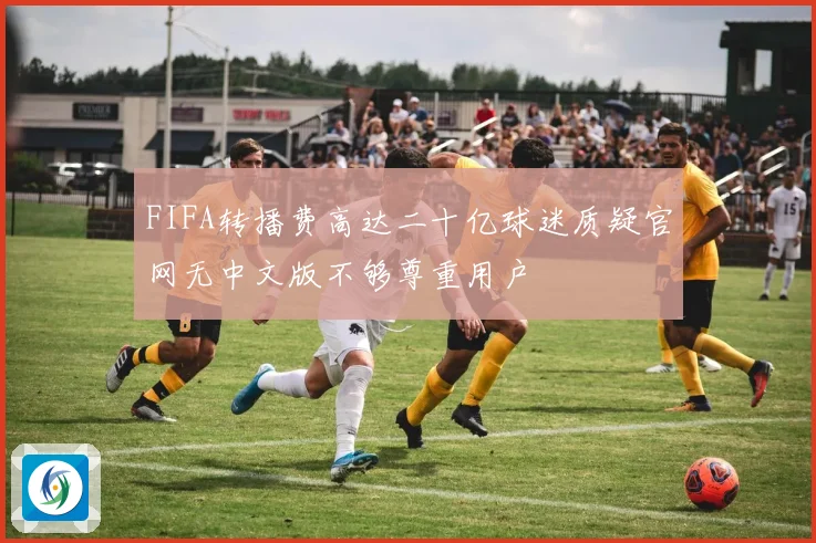 FIFA转播费高达二十亿球迷质疑官网无中文版不够尊重用户