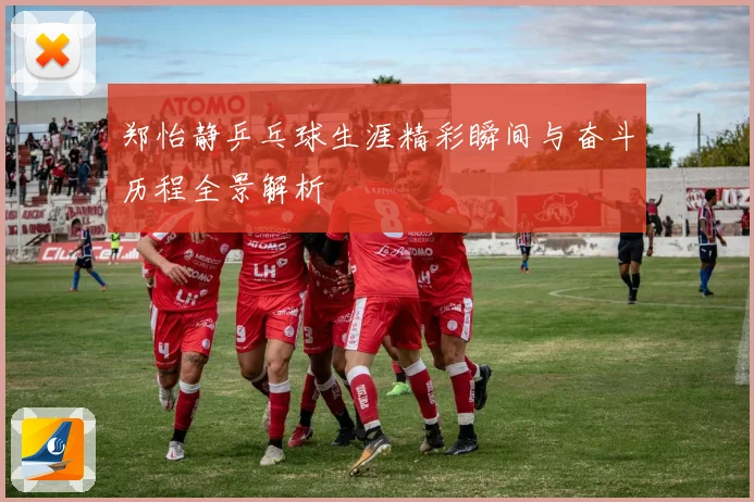 郑怡静乒乓球生涯精彩瞬间与奋斗历程全景解析