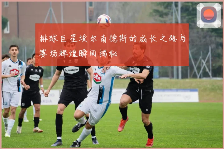 排球巨星埃尔南德斯的成长之路与赛场辉煌瞬间揭秘