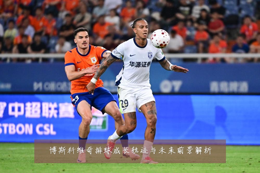 博斯科维奇排球成长轨迹与未来前景解析
